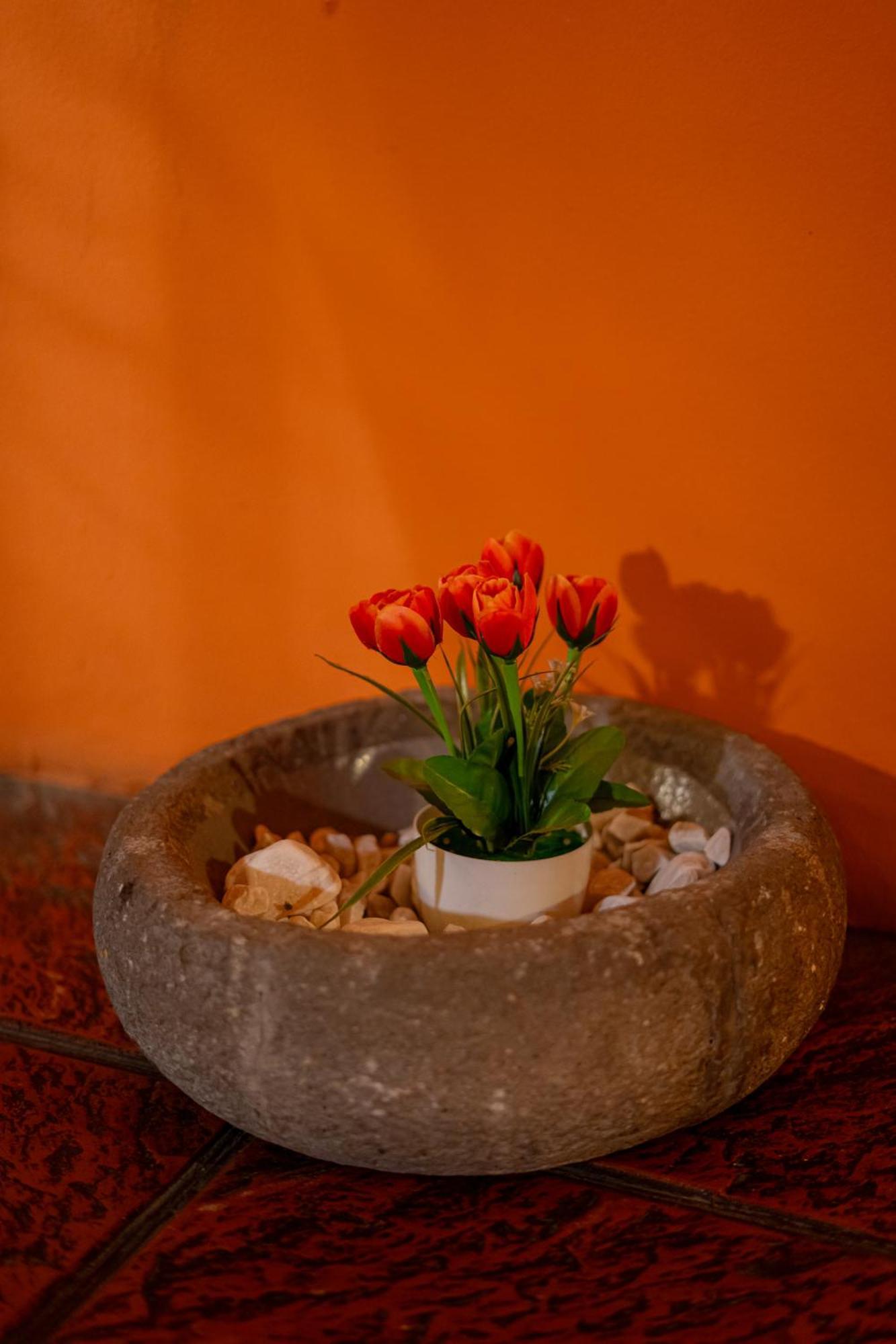 Hotel Villa Espanola Guatemala Dış mekan fotoğraf